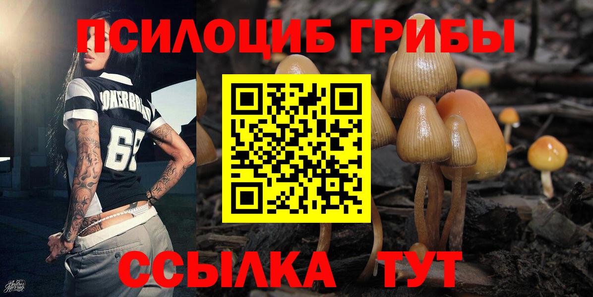 Галлюциногенные грибы Cubensis  Псилоцибиновые грибы мицелий  Каменка  Вход с VPN 