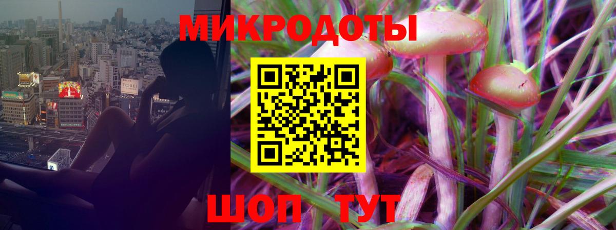 Галлюциногенные грибы MAGIC MUSHROOMS Каменка